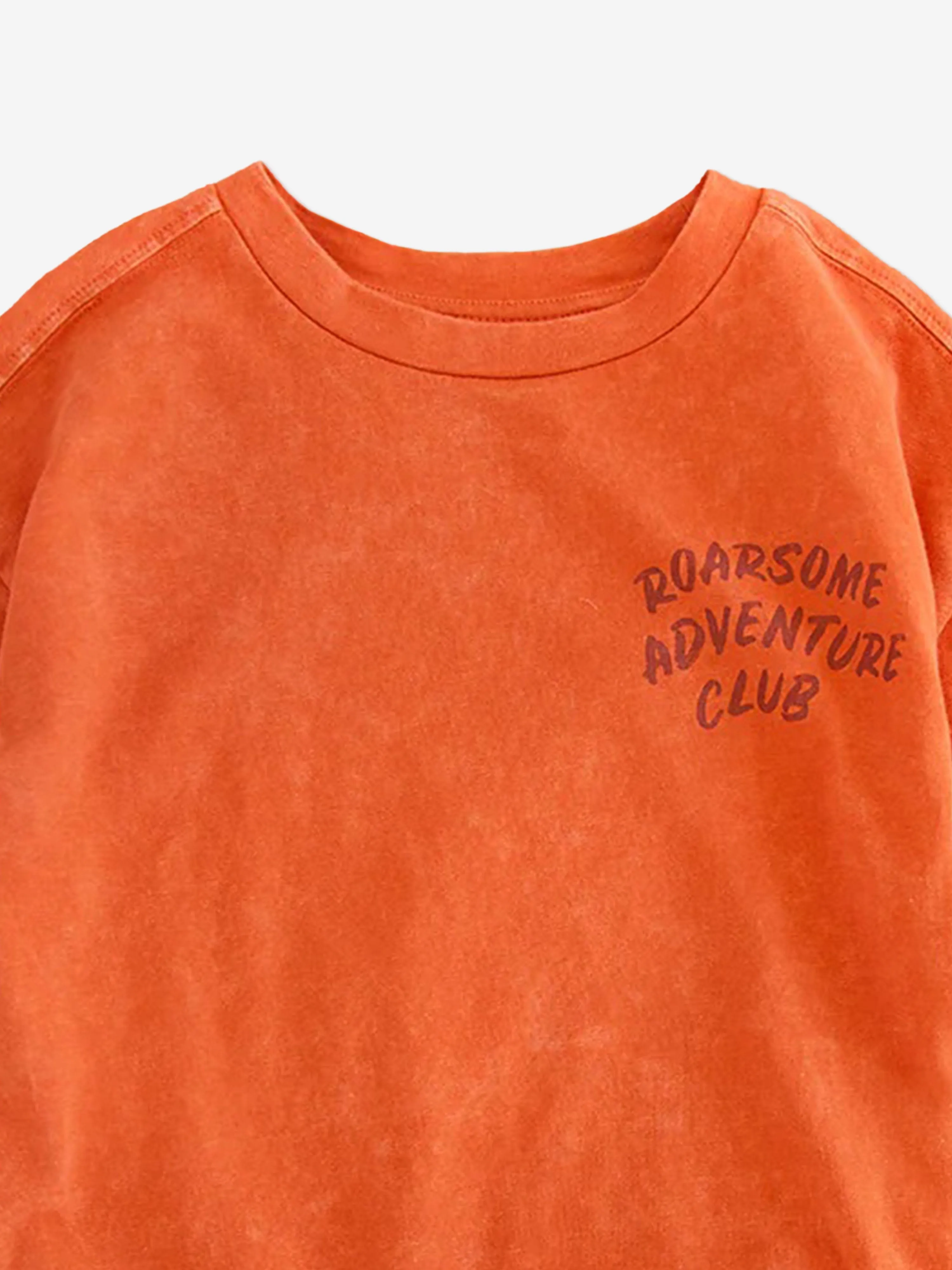 Boys Cub The Lion Adventure Club T-Shirt in Red